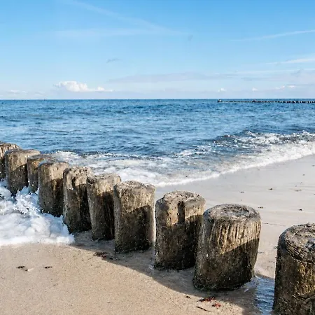 شقة Strandvilla Seepferdchen App 11 *